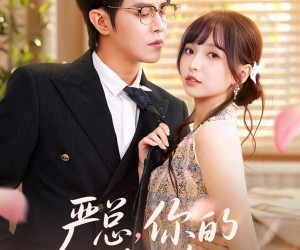 短剧《严总你的小玫瑰又作妖了》77集夸克网盘免费观看全集