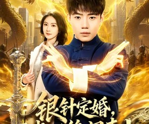 短剧《银针定婚，医武双绝闯青山》74集夸克网盘免费畅享观看