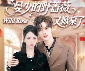 短剧《晏少的野蔷薇又掀桌了》120集夸克网盘免费在线看整部