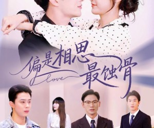 短剧《偏是相思最蚀骨》70集夸克网盘免费在线看全剧