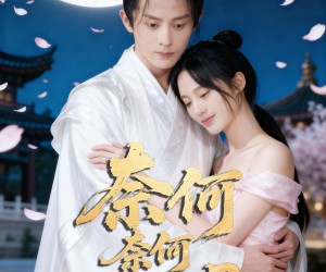 短剧《奈何奈何不逢君》57集夸克网盘免费在线观赏