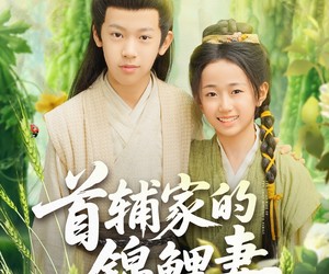 短剧《首辅家的锦鲤妻》82集夸克网盘在线免费看全集