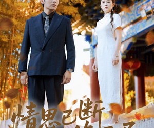 短剧《情思已断缘已尽》80集夸克网盘在线免费览全集