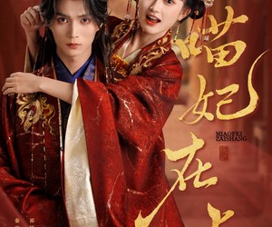 短剧《喵妃在上》64集夸克网盘免费即时在线观看