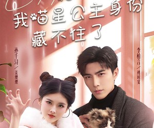 短剧《糟糕我喵星公主身份藏不住了》60集夸克网盘免费在线观影