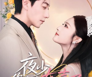 短剧《夜少，您太太有喜了》86集夸克网盘免费在线追剧