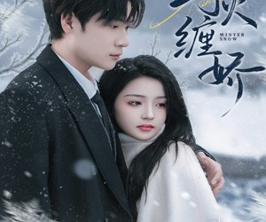 短剧《野火缠娇》66集夸克网盘免费在线观全集