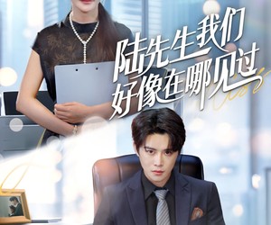 短剧《陆先生我们好像在哪见过》70集夸克网盘免费在线观影