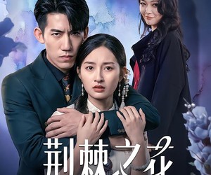 短剧《荆棘之花》100集夸克网盘免费在线追看