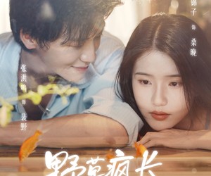 短剧《野草疯长》71集夸克网盘在线免费畅享全集