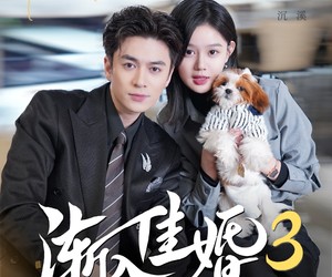 短剧《渐入佳婚3第三部》60集夸克网盘免费畅享全集观看