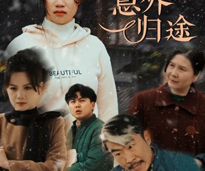 短剧《天下无拐之意外归途》61集夸克网盘无需付费看全集