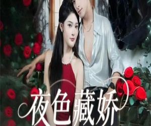 短剧《夜色藏娇》65集夸克网盘免费观看无付费