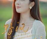 短剧《野汉藏娇》30集夸克网盘免费在线看全篇