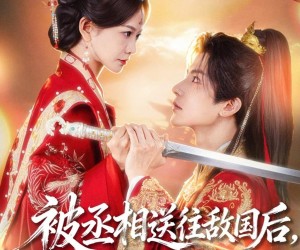 短剧《被丞相送往敌国后，他悔疯了》60集夸克网盘免费在线畅看