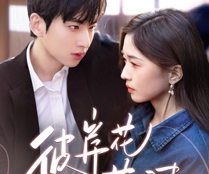 短剧《彼岸花落时》70集夸克网盘免费尽情看