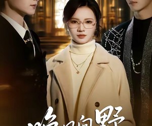 短剧《晚风向野不渡舟》60集夸克网盘免费观看完整版