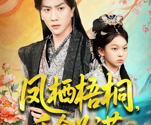 短剧《凤栖梧桐千金为诺》70集夸克网盘全集免费在线看