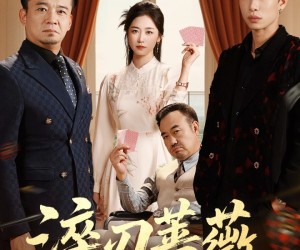 短剧《淬刃蔷薇》66集夸克网盘免费在线览完集