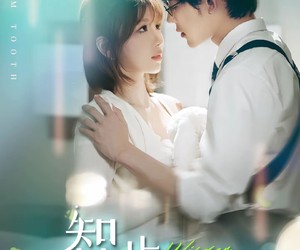 短剧《智齿》59集夸克网盘免费在线观全集