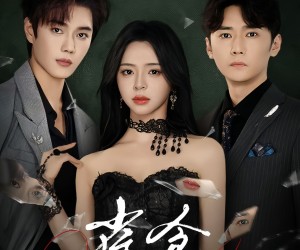 短剧《雀食》83集夸克网盘免费在线观看无阻