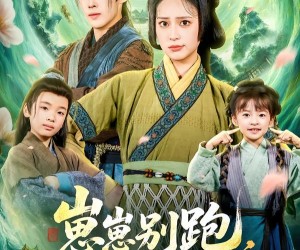 短剧《崽崽别跑，娘亲有亿点医术》81集夸克网盘免费畅享观看