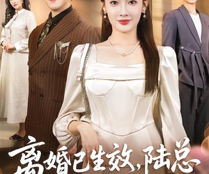 短剧《离婚已生效，陆总你老婆不要你了》61集夸克网盘免费观剧