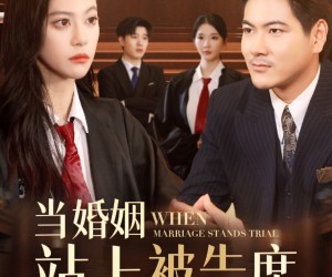 短剧《当婚姻站上被告席》30集夸克网盘免费在线览全剧