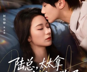 短剧《陆总，太太拿到离婚证跑了》86集夸克网盘免费在线赏全集