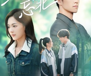 短剧《往南忘北》73集夸克网盘在线免费视全集