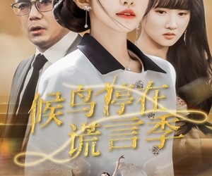 短剧《候鸟停在谎言季》45集夸克网盘免费在线观影