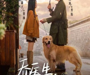 短剧《乔医生，我想帮你收租》81集夸克网盘全集免费观