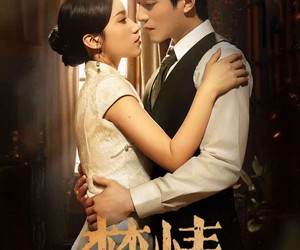 短剧《焚情》89集夸克网盘免费尽情看