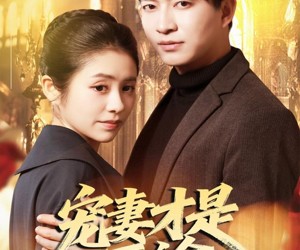 短剧《宠妻才是正途》83集夸克网盘免费在线畅快看