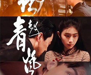 短剧《风起青岚》96集夸克网盘免费看完整版