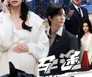 短剧《孕途惊犬，女儿奴老爸怒了》30集夸克网盘免费在线观看不卡顿