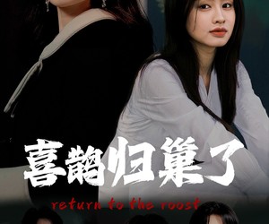 短剧《喜鹊归巢了》60集夸克网盘全集免费看