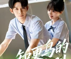 短剧《知更鸟的陷阱》58集夸克网盘免费观看完整版