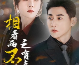 短剧《相看两不厌之有点坏》70集夸克网盘在线免费看全剧