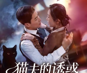 短剧《猫夫的诱惑》52集夸克网盘在线免费观看全集