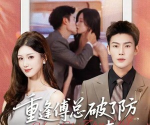 短剧《重逢傅总破了防，花式追妻》86集夸克网盘免费看全剧集