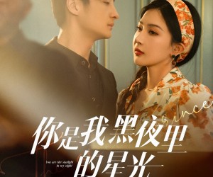 短剧《你是我黑夜里的星光》80集夸克网盘免费畅享全集观看