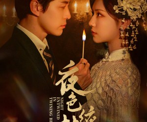 短剧《夜色缠枝百度HE版本》62集夸克网盘在线免费看全剧