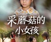 短剧《采蘑菇的小女孩》37集夸克网盘免费在线观影全集