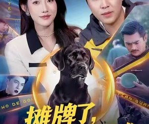 短剧《摊牌了，我的狗是哮天犬》98集夸克网盘在线免费看全集