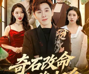 短剧《奇石改命血路归乡》81集夸克网盘免费观看完整版