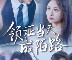 短剧《领证当天成陌路》39集夸克网盘免费在线赏剧