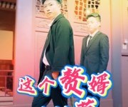 短剧《这个赘婿不好惹》27集夸克网盘在线免费看全剧