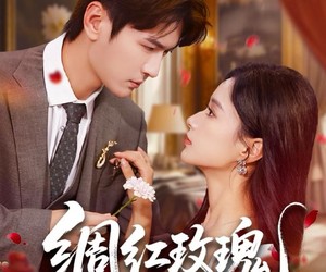 短剧《绸红玫瑰》86集夸克网盘在线免费看全集