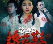 短剧《路边的绣花鞋》25集夸克网盘免费在线览看全集